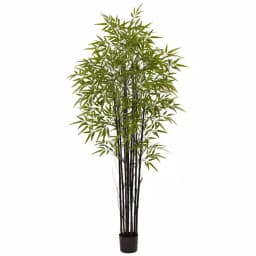 Nearly Natural 6 ft. Black Bamboo Artificial Tree with UV Resistant Leaves and Planter, Indoor/Outdoor thumbnail 1