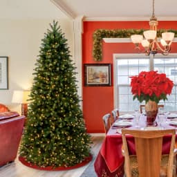 National Tree Company 6.5 ft. Jersey Fraser Fir Slim Artificial Christmas Tree with 700 Clear Lights thumbnail 3