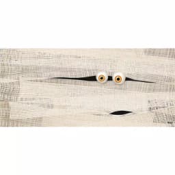 My Door Decor 7 ft. x 16 ft. Halloween Mummy Face Garage Door Banner Mural thumbnail 1