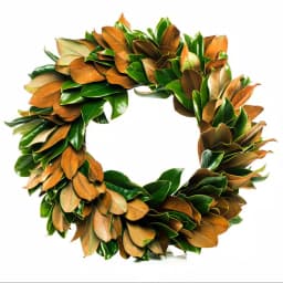 VAN ZYVERDEN 24 in. Fresh Magnolia Christmas Wreath - Natural Greenery thumbnail 1