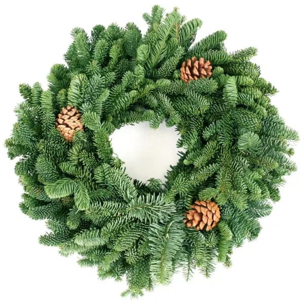 VAN ZYVERDEN 16 in. Live Fresh Cut Pacific Northwest Noble Fir Christmas Wreath with Pine Cones