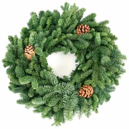 VAN ZYVERDEN 16 in. Live Fresh Cut Pacific Northwest Noble Fir Christmas Wreath with Pine Cones thumbnail 1
