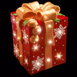 National Tree Company 21 in. Pre-Lit Red Gift Box Christmas Decoration with White LED Lights and Gold Ribbon thumbnail 1