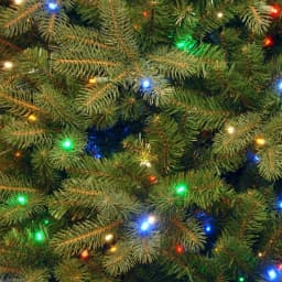 National Tree Company 7.5 ft. Downswept Douglas Fir Artificial Christmas Tree with 750 Dual Color LED Lights thumbnail 4