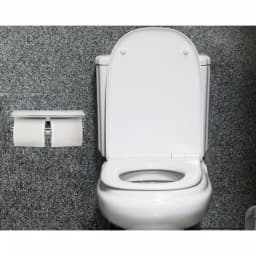Alpine Industries Double Post Toilet Paper Holder with Storage Shelf, Chrome Finish thumbnail 5