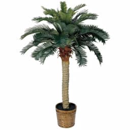 Nearly Natural 4 ft. Sago Palm Silk Tree with Decorative Wicker Basket thumbnail 1