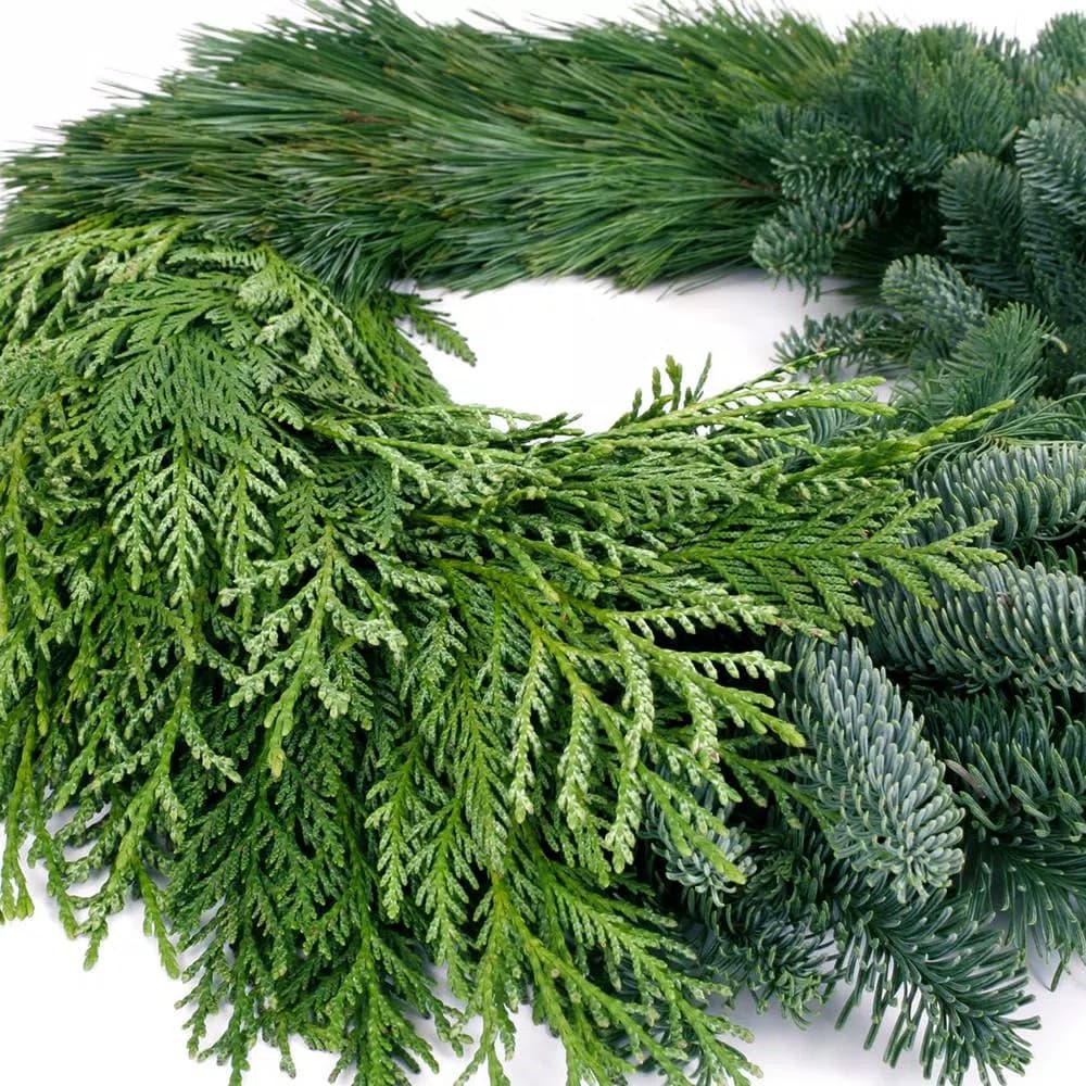 VAN ZYVERDEN 24 in. Live Fresh Cut Pacific Northwest Modern Block Christmas Wreath - Noble Fir, Cedar, and Pine