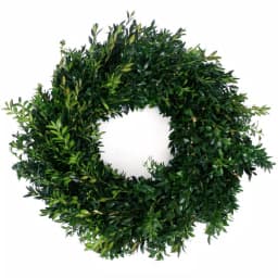 VAN ZYVERDEN 22 in. Live Fresh Cut Blue Ridge Mountain Boxwood Christmas Wreath thumbnail 1