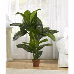Nearly Natural Real Touch 5 ft. Green Dieffenbachia Silk Potted Plant thumbnail 2