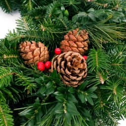 VAN ZYVERDEN 24 in. Live Fresh Cut Blue Ridge Mountain Mixed Christmas Wreath with Cones and Berries thumbnail 2