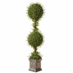 National Tree Company 60 in. Mini Tea Leaf 2 Ball Topiary in Silver Square Pot thumbnail 1