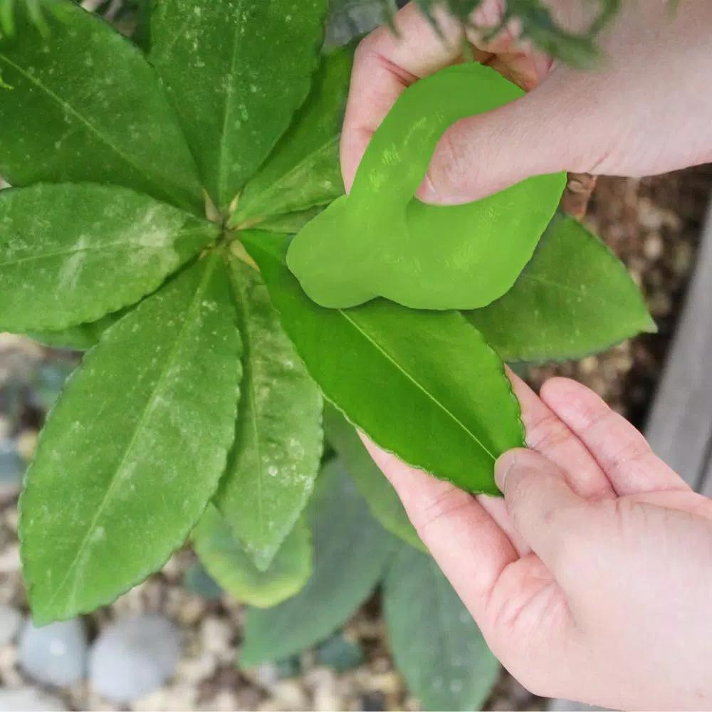 Cyber Clean LeafCare Indoor Plant Cleaner & Nourishment - 5.64 oz