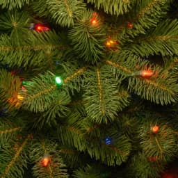 National Tree Company 7.5 ft. Feel-Real Downswept Douglas Fir Artificial Christmas Tree with 750 Multi-Color Lights thumbnail 4