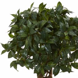 Nearly Natural 4.5 ft. Artificial Sweet Bay Double Topiary Tree in Black Wash Clay Planter thumbnail 2