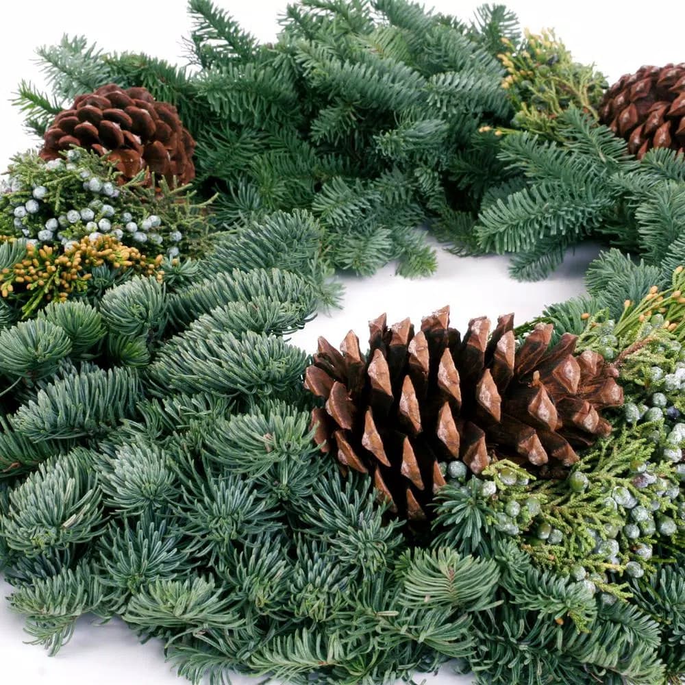 VAN ZYVERDEN 24 in. Fresh Cut Pacific Northwest Mixed Christmas Wreath with Noble Fir, Cedar, Juniper, and Pine Cones