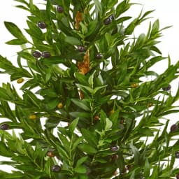 Nearly Natural 35-In. Artificial Olive Cone Topiary Tree in Terra Cotta Planter, UV-Resistant Indoor/Outdoor Decor thumbnail 2
