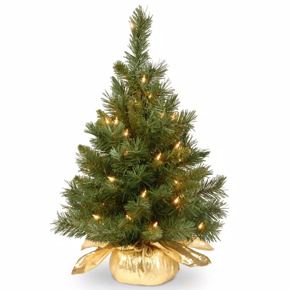National Tree Company 24 in. Majestic Fir Tabletop Christmas Tree with 35 Clear Lights and Gold Cloth Bag Base