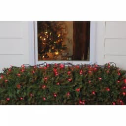 Northlight 4 ft. x 6 ft. Red Mini Net Style Christmas Lights with Green Wire, 150 Bulbs thumbnail 2