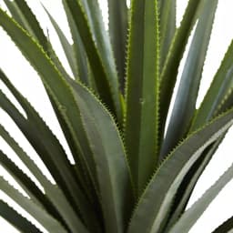 Nearly Natural 4 ft. Spiked Agave Artificial Plant in Black Plastic Pot thumbnail 2