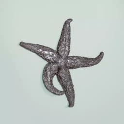 Unbranded Medium Starfish Wall Sculpture - Coastal Silver Pewter Resin Decor thumbnail 1