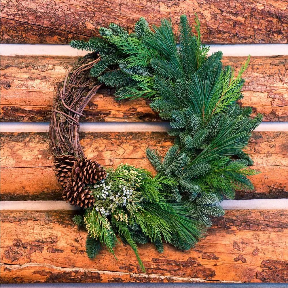 VAN ZYVERDEN 20 in. Live Fresh Cut Pacific Northwest Grapevine and Evergreen Christmas Wreath
