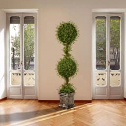 National Tree Company 60 in. Mini Tea Leaf 2 Ball Topiary in Silver Square Pot thumbnail 2