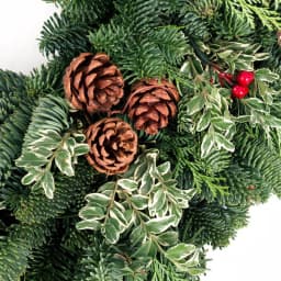 VAN ZYVERDEN 24 in. Live Fresh Cut Pacific Northwest Cinnamon Spice Christmas Wreath thumbnail 3