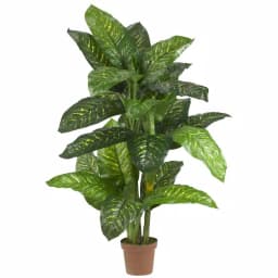 Nearly Natural Real Touch 5 ft. Green Dieffenbachia Silk Potted Plant thumbnail 1
