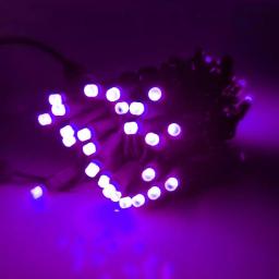 HOLIDYNAMICS HOLIDAY LIGHTING SOLUTIONS 50-Light RGB LED String Lights, 5 mm Frosted Bulbs, 4 in. Spacing, Green Cord thumbnail 4
