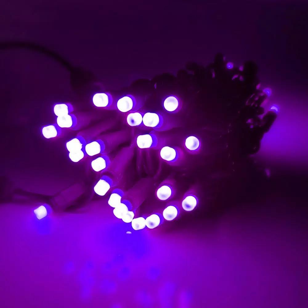 HOLIDYNAMICS HOLIDAY LIGHTING SOLUTIONS 50-Light RGB LED String Lights, 5 mm Frosted Bulbs, 4 in. Spacing, Green Cord