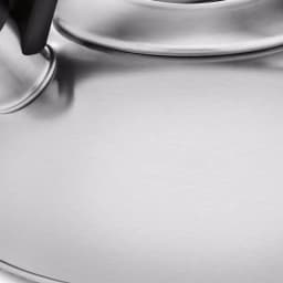 Cuisinart CTK-SS2 Peak 8-Cup Stainless Steel Stovetop Tea Kettle thumbnail 5