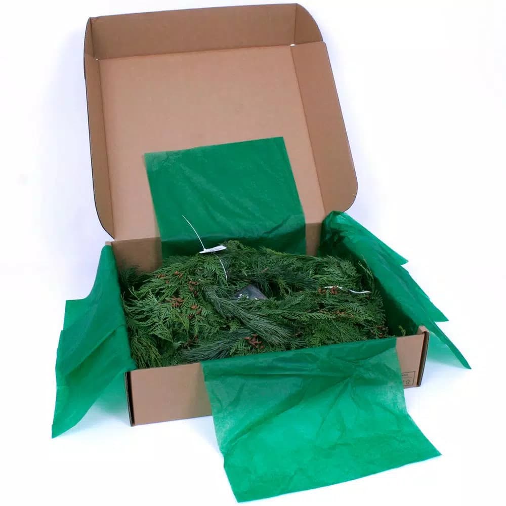 VAN ZYVERDEN 25 ft. Fresh Cut Pacific Northwest Princess Pine and Western Red Cedar Holiday Garland