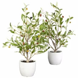 Nearly Natural 18 in. Green Olive Silk Tree with White Vase (Set of 2) thumbnail 1