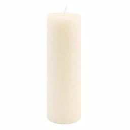 ROOT CANDLES A.I. Root Timberline Ivory Pillar Candle, 3 in. x 9 in. thumbnail 1