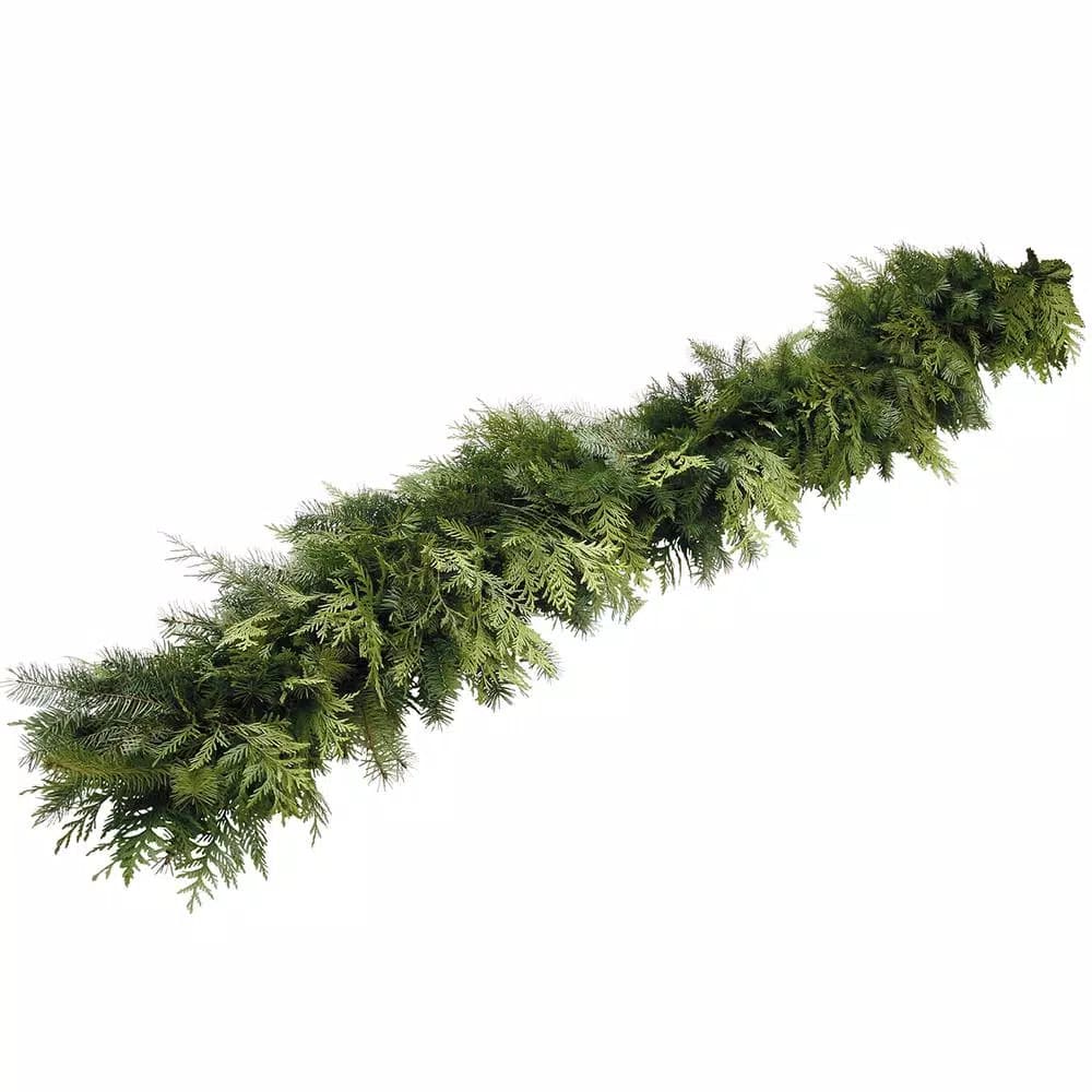 VAN ZYVERDEN 15 ft. Fresh Cut Pacific Northwest Douglas Fir and Western Red Cedar Mix Coil Garland