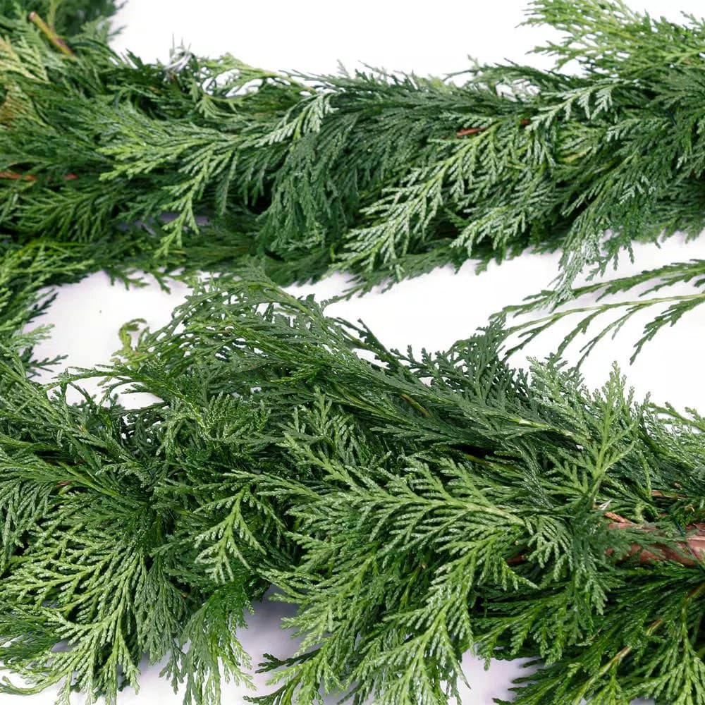 VAN ZYVERDEN 10 ft. Fresh Cut Pacific Northwest Western Red Cedar Coil Garland