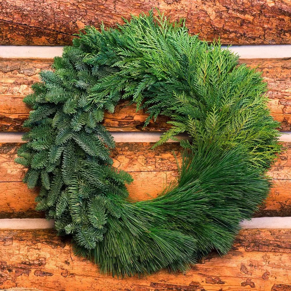 VAN ZYVERDEN 24 in. Live Fresh Cut Pacific Northwest Modern Block Christmas Wreath - Noble Fir, Cedar, and Pine