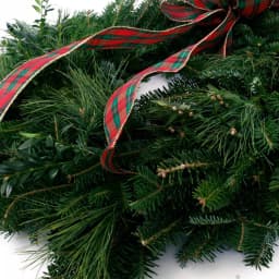 VAN ZYVERDEN 24 in. Live Fresh Cut Blue Ridge Mountain Mixed Christmas Wreath with Bow thumbnail 2