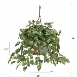 Nearly Natural Lifelike Pothos Silk Plant in Woven Roped Hanging Basket thumbnail 6