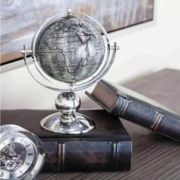 LITTON LANE 10 in. Modern Decorative Globe with Brown and Silver Stainless Steel Base thumbnail 1