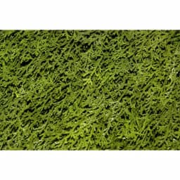 National Tree Company 36 in. Upright Juniper Artificial Evergreen Shrub in Green Round Growers Pot thumbnail 2