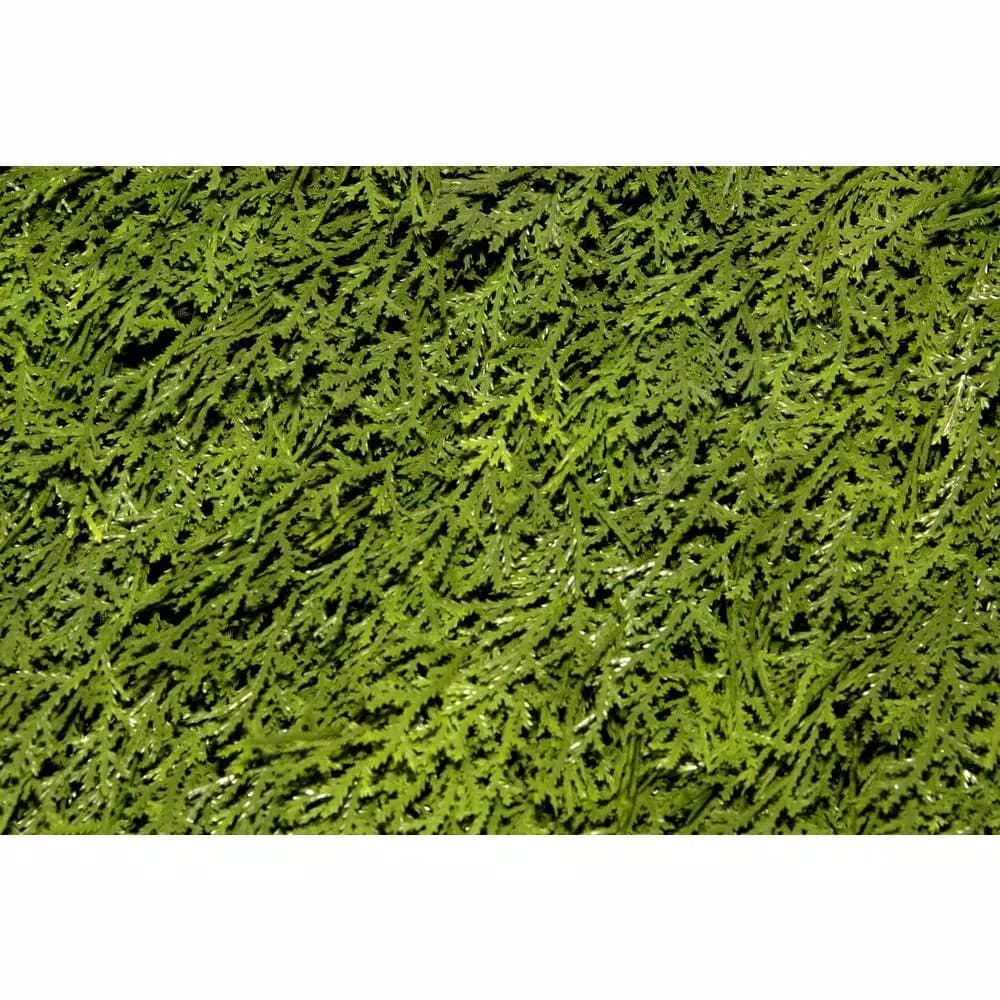 National Tree Company 36 in. Upright Juniper Artificial Evergreen Shrub in Green Round Growers Pot