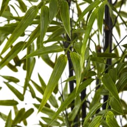Nearly Natural 6 ft. Black Bamboo Artificial Tree with UV Resistant Leaves and Planter, Indoor/Outdoor thumbnail 3