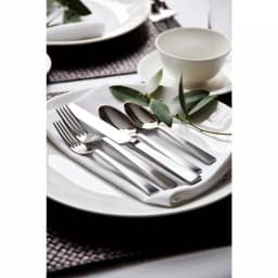 Oneida Fulcrum 18/10 Stainless Steel Cold Meat Forks, 12-Piece Set thumbnail 3