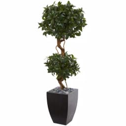 Nearly Natural 4.5 ft. Artificial Sweet Bay Double Topiary Tree in Black Wash Clay Planter thumbnail 1