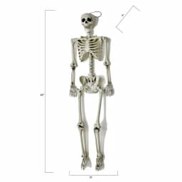 Worth Imports 60 in. Life Size Hanging Skeleton Halloween Decor thumbnail 2