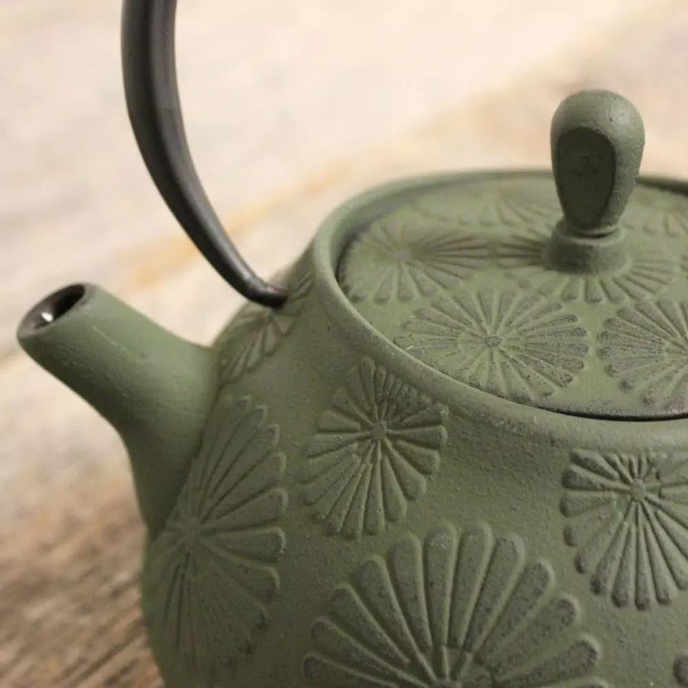 BergHOFF Cast Iron 1.2 Qt. Dark Green Teapot with 18/10 Stainless Steel Mesh Filter