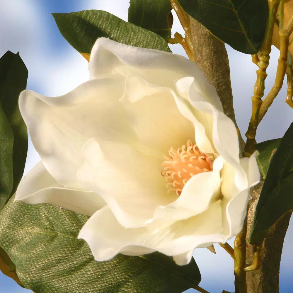 National Tree Company 48 in. Artificial White Magnolia Flower Tree in Matte Black Pot