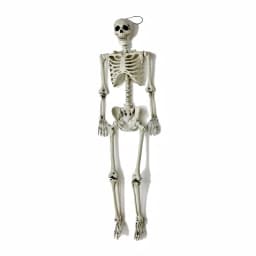 Worth Imports 60 in. Life Size Hanging Skeleton Halloween Decor thumbnail 1