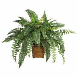 Nearly Natural 23 in. Boston Fern Silk Plant with Wicker Basket thumbnail 1